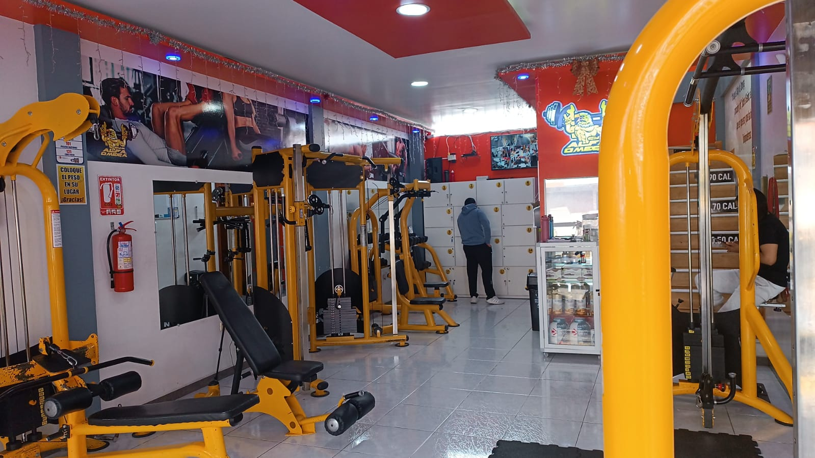 Zona de entrenamiento Gym Alfa & Omega